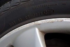 IMG_0561