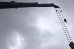 S__12967949