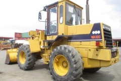WA100-1-31245-002