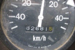 WA100-1-31245-055