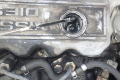 RIMG4939