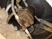 EX60-2-10K-35543-019