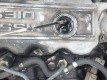 RIMG4939