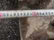 RIMG4942
