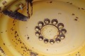 PB291020