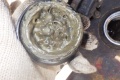 RIMG8392-3